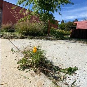 Meet your Posher, Paul